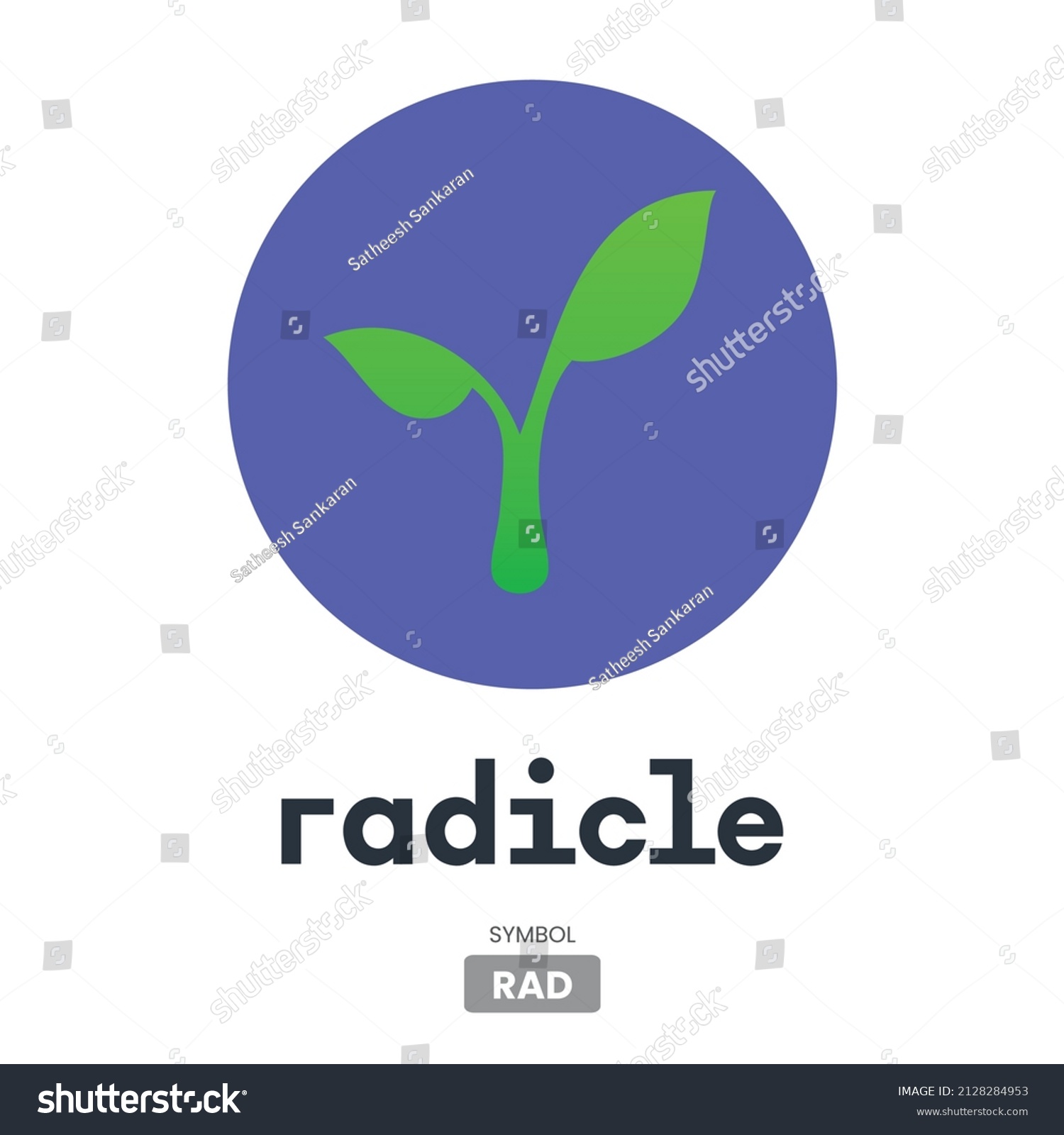Sấ