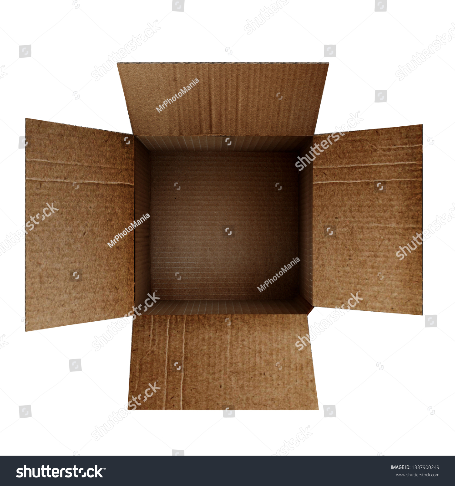 Bl