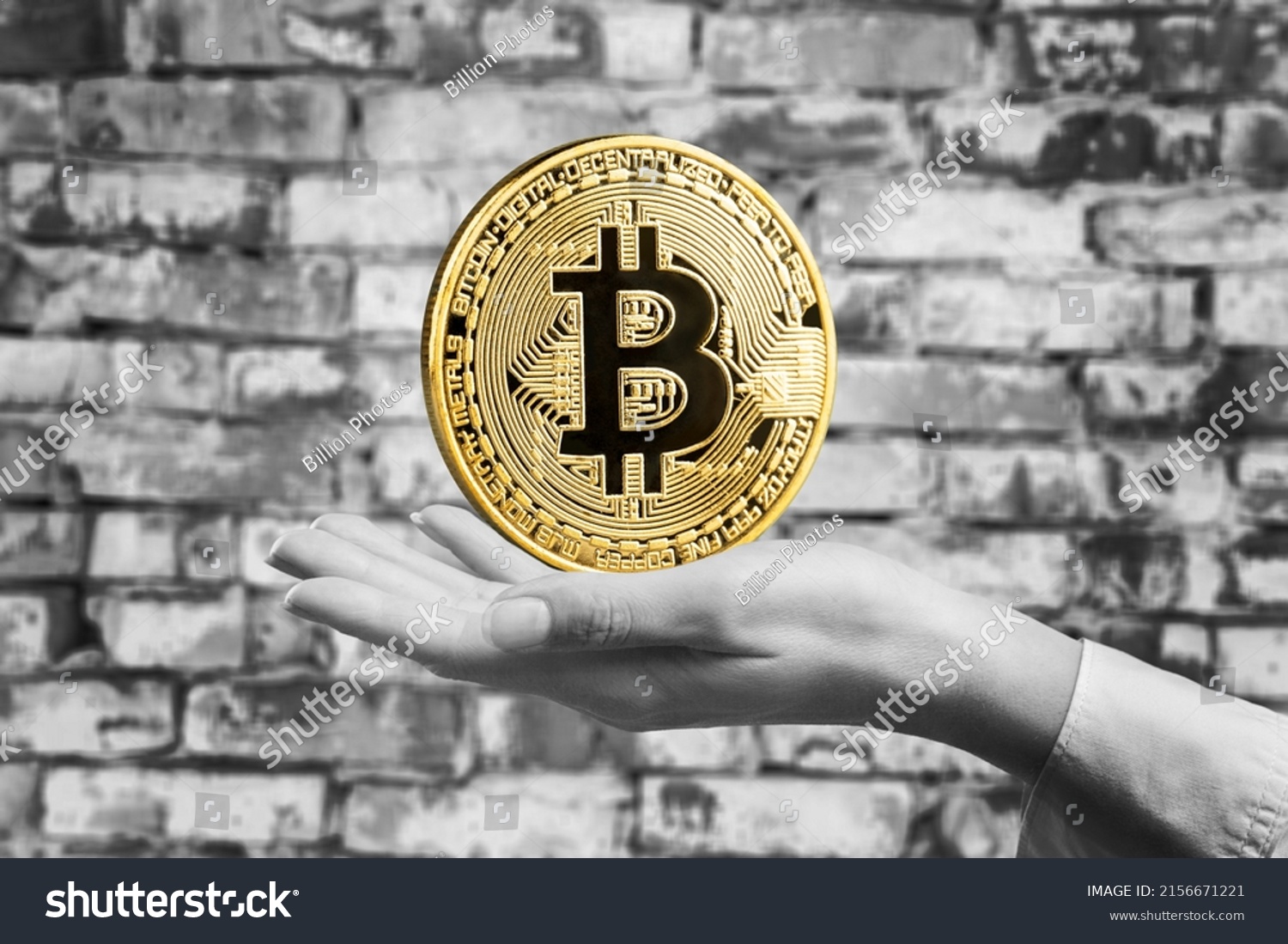 Bò