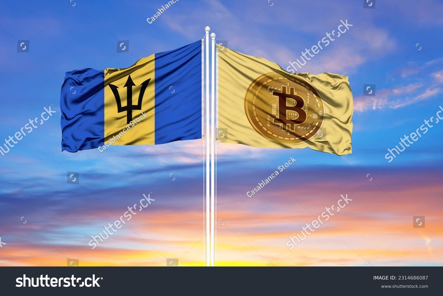 Tr