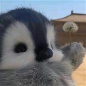 Bữ