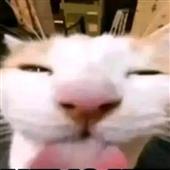 Bả