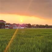 Be