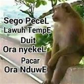 Bí