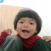 Cỏ