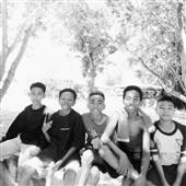 Cổ
