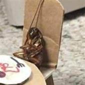 An