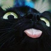 Kẻ