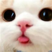 Xe