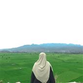 Sứ