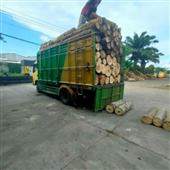 Đu