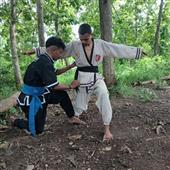 gi