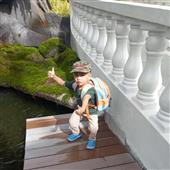 Dõ