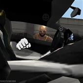 Vu