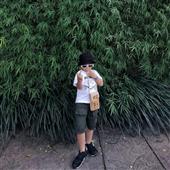 Vậ