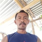 Độ