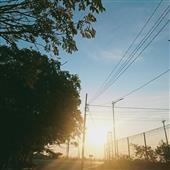 IP