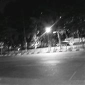 Vị