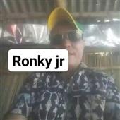 Gấ