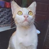 Và