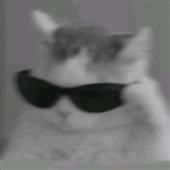 Đu