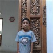Gấ