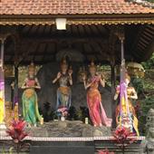 Sự