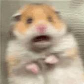 Ch