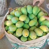 Bả