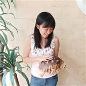 Dự