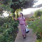 Vệ