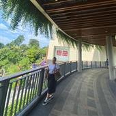 Củ