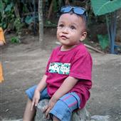 Gấ