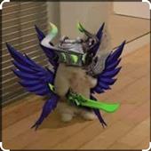 Đu