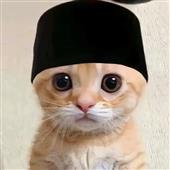FI