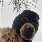 Po