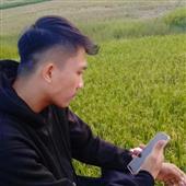 Đu