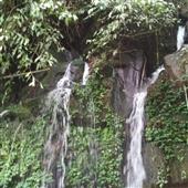 Củ