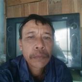 Tự