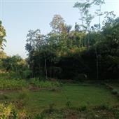 Bộ