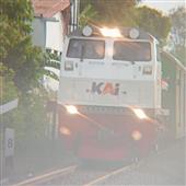 Dự