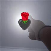 Tr