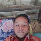 Gi