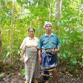 Cổ