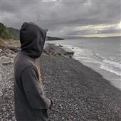 Gi