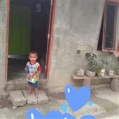 Tỷ