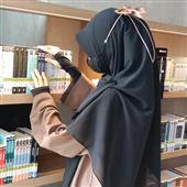 gi