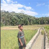 Cờ