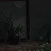lộ