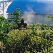 Lị
